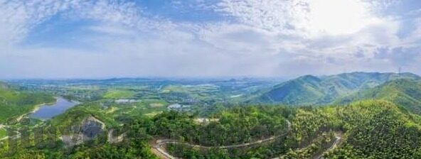 足球比分迅雷-从足球比分迅雷看体育信息传播的革新与挑战
